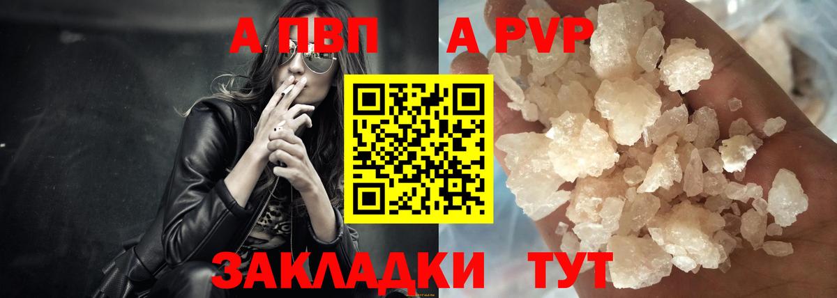 A PVP СК КРИС Брянск