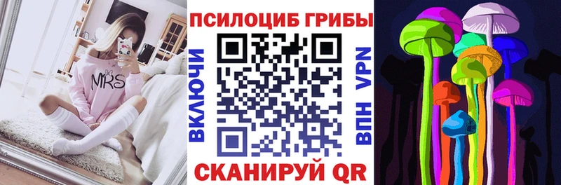 что такое наркотик  Брянск  Псилоцибиновые грибы Psilocybe 