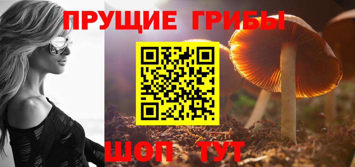 Псилоцибиновые грибы Magic Shrooms  где купить наркоту  Брянск  Вход с VPN  Галлюциногенные грибы мухоморы 