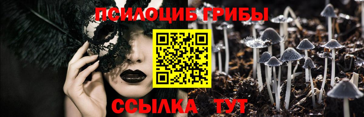Галлюциногенные грибы Magic Shrooms  Брянск 